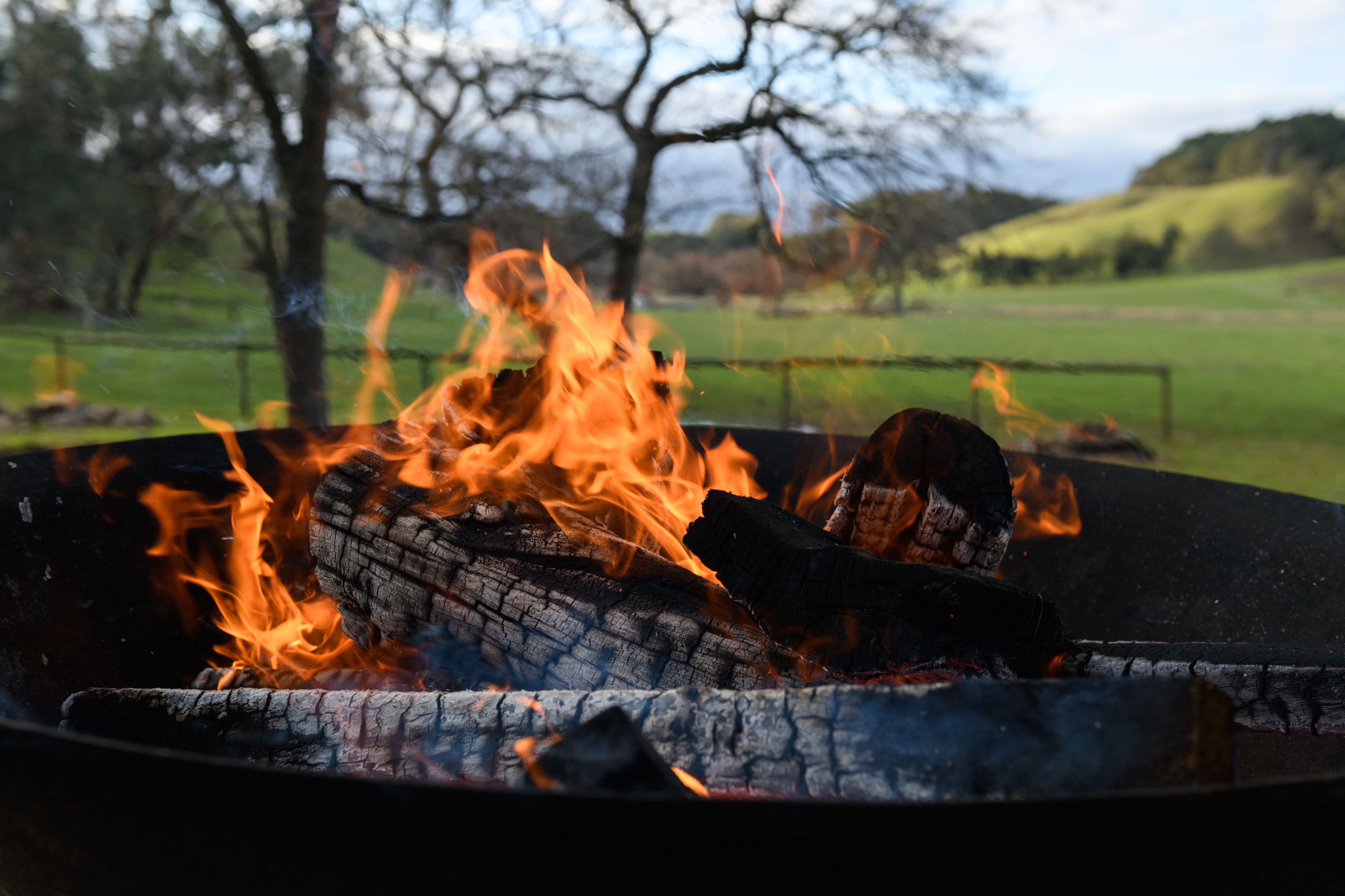 Firepit at Cobb's Hill Estate